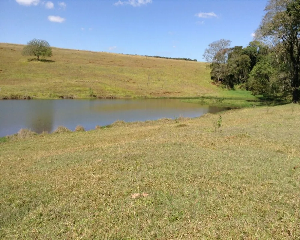 Fazenda - Foto 4