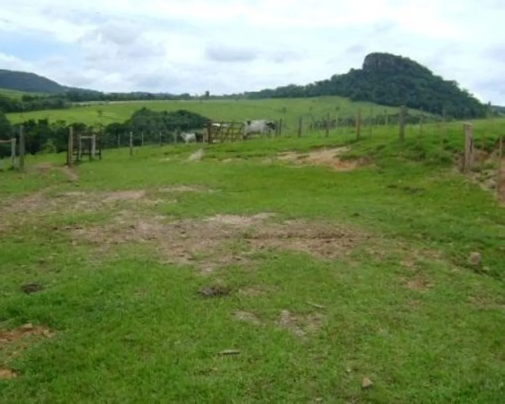 Fazenda - Foto 3