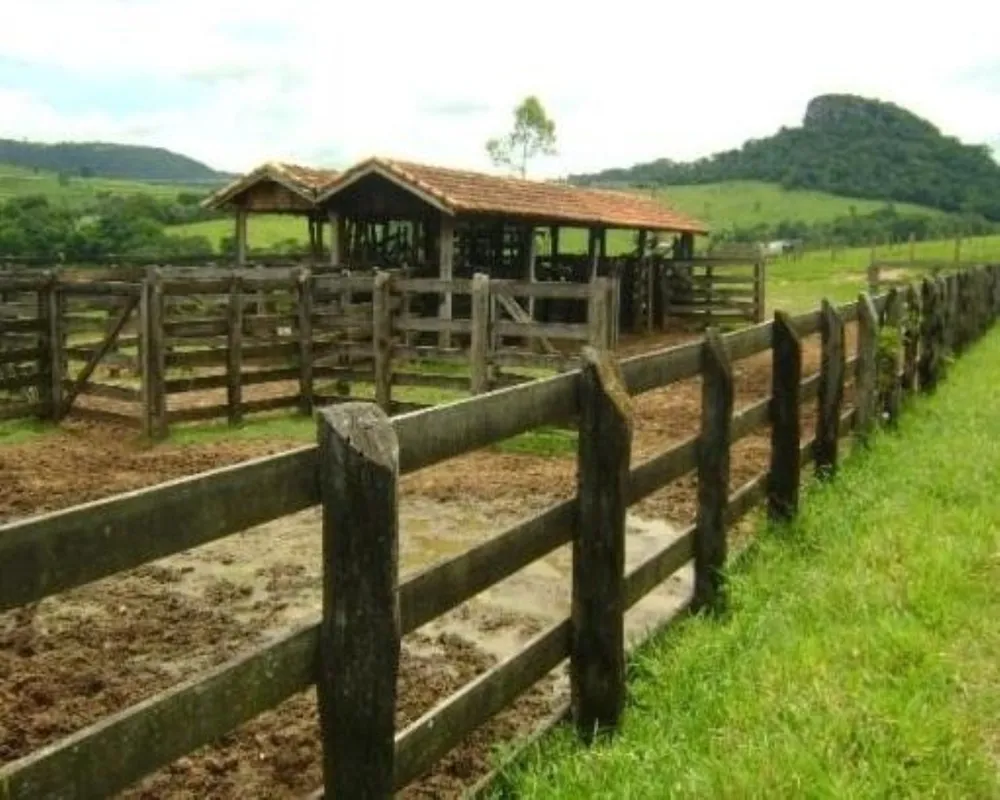 Fazenda - Foto 2