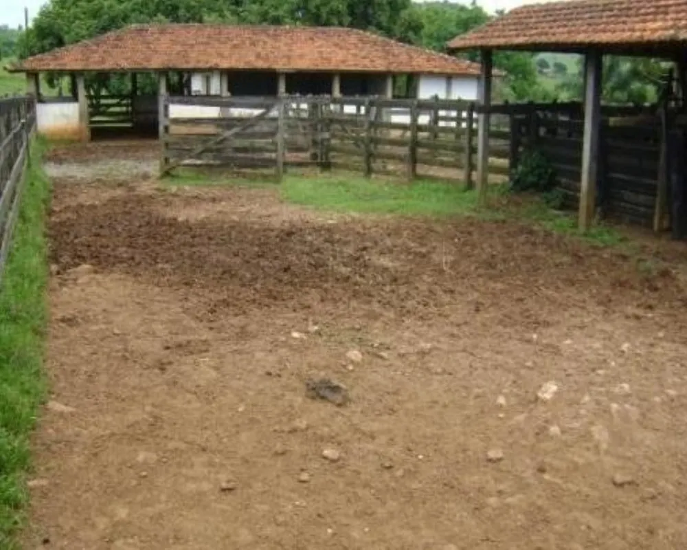 Fazenda - Foto 8