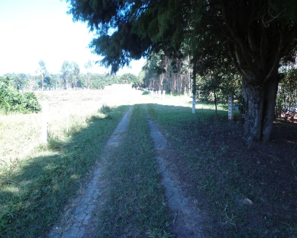 Sítio - Foto 11