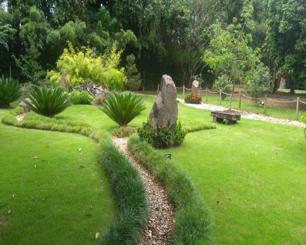 Fazenda - Foto 7