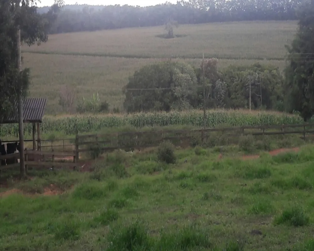 Fazenda - Foto 3