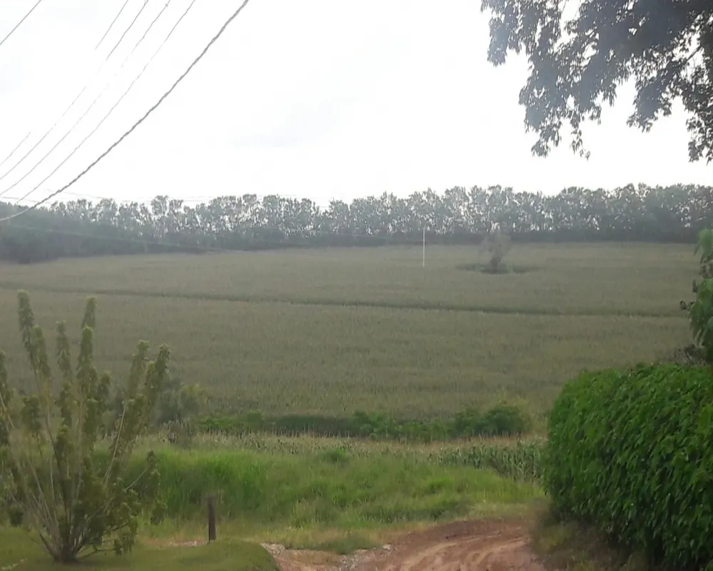 Fazenda - Foto 4