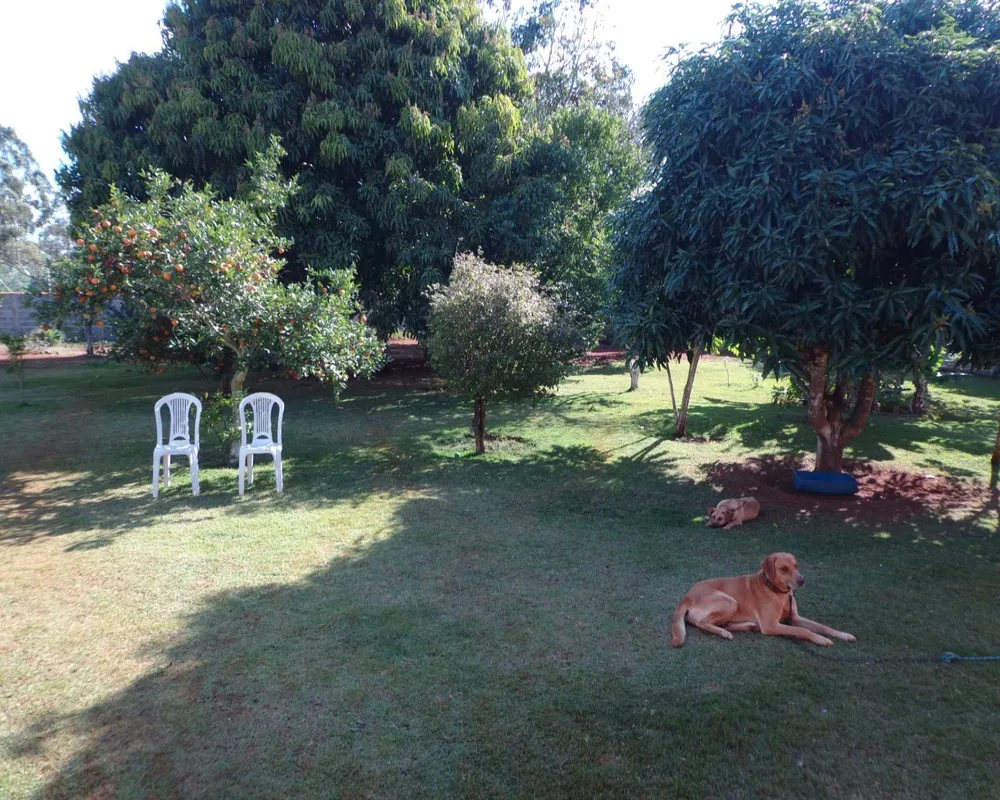 Chácara - Foto 6