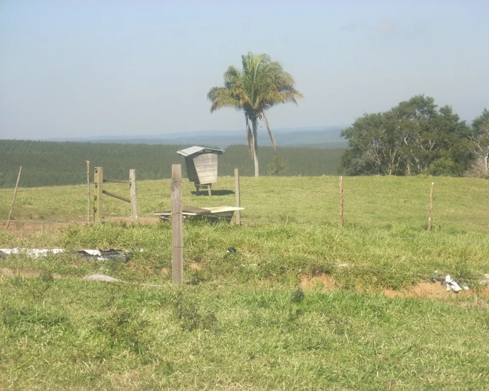 Sítio - Foto 5