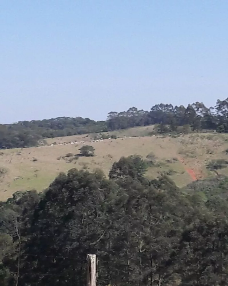 Fazenda - Foto 11