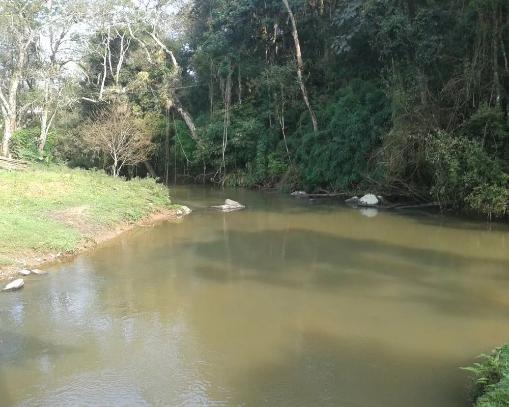 Fazenda - Foto 7