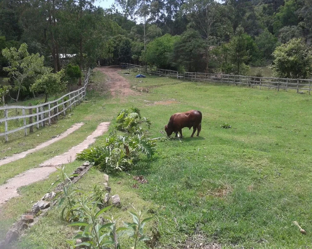 Fazenda - Foto 24