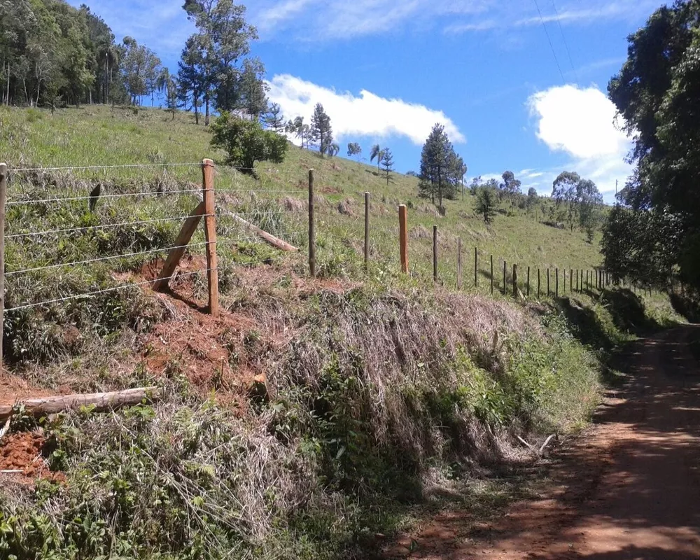 Fazenda - Foto 22