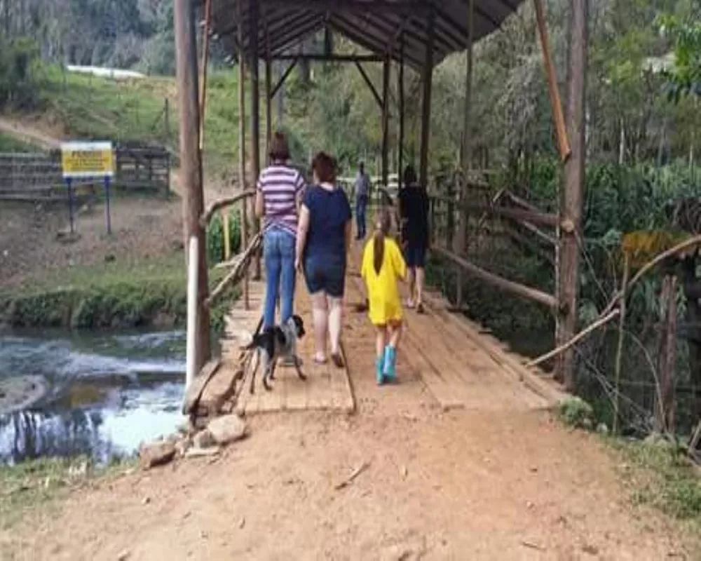 Fazenda - Foto 14