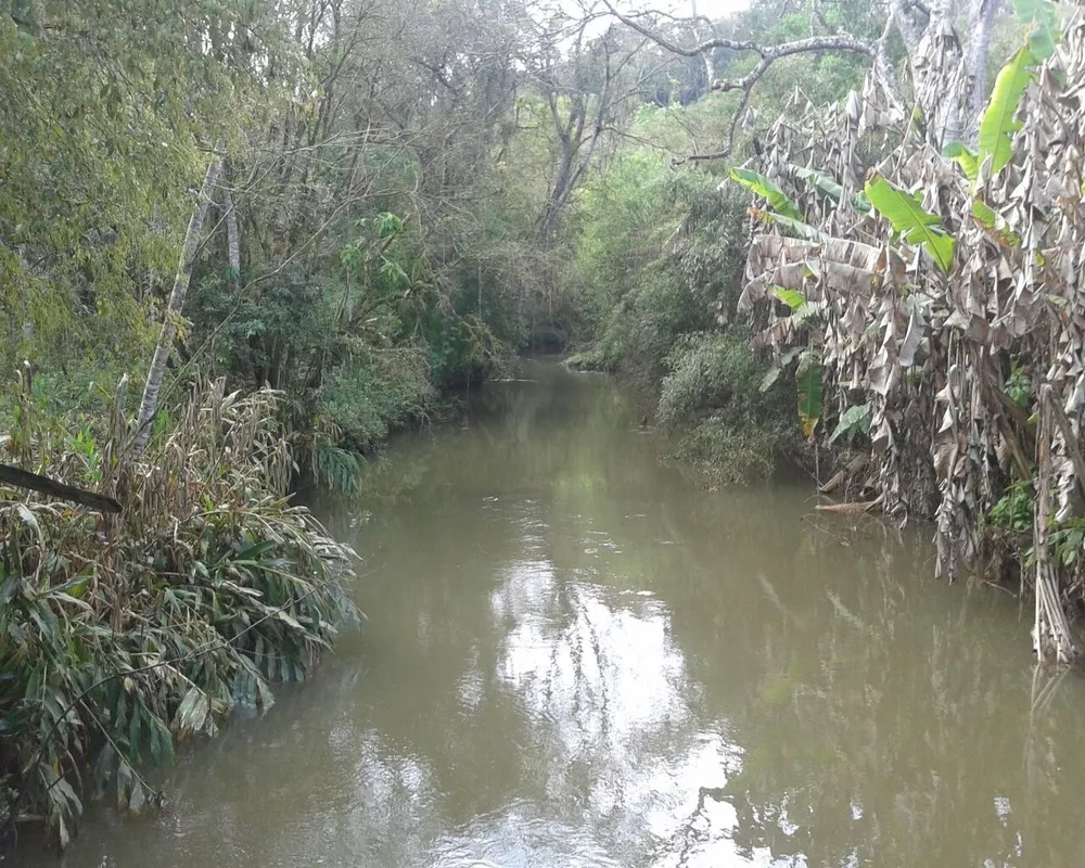 Fazenda - Foto 9
