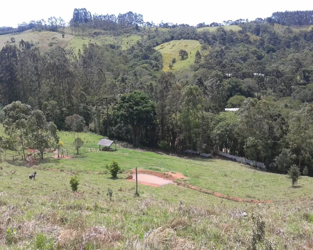 Fazenda - Foto 23