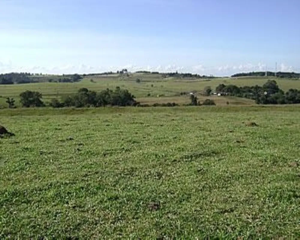Fazenda - Foto 7