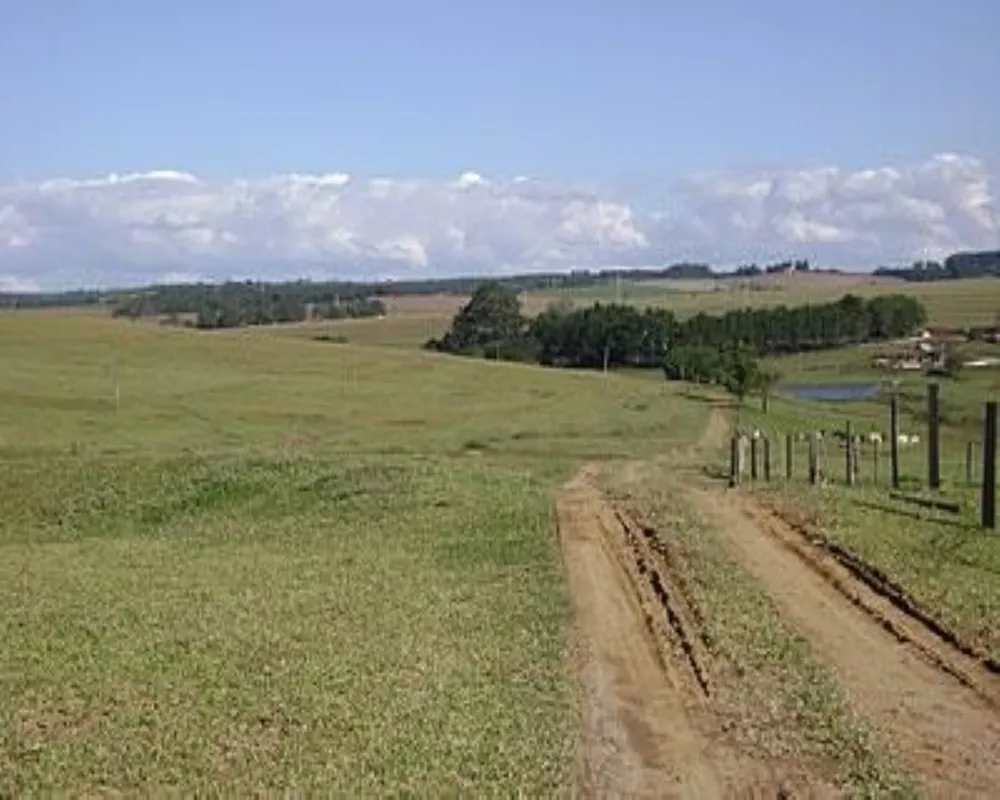 Fazenda - Foto 1