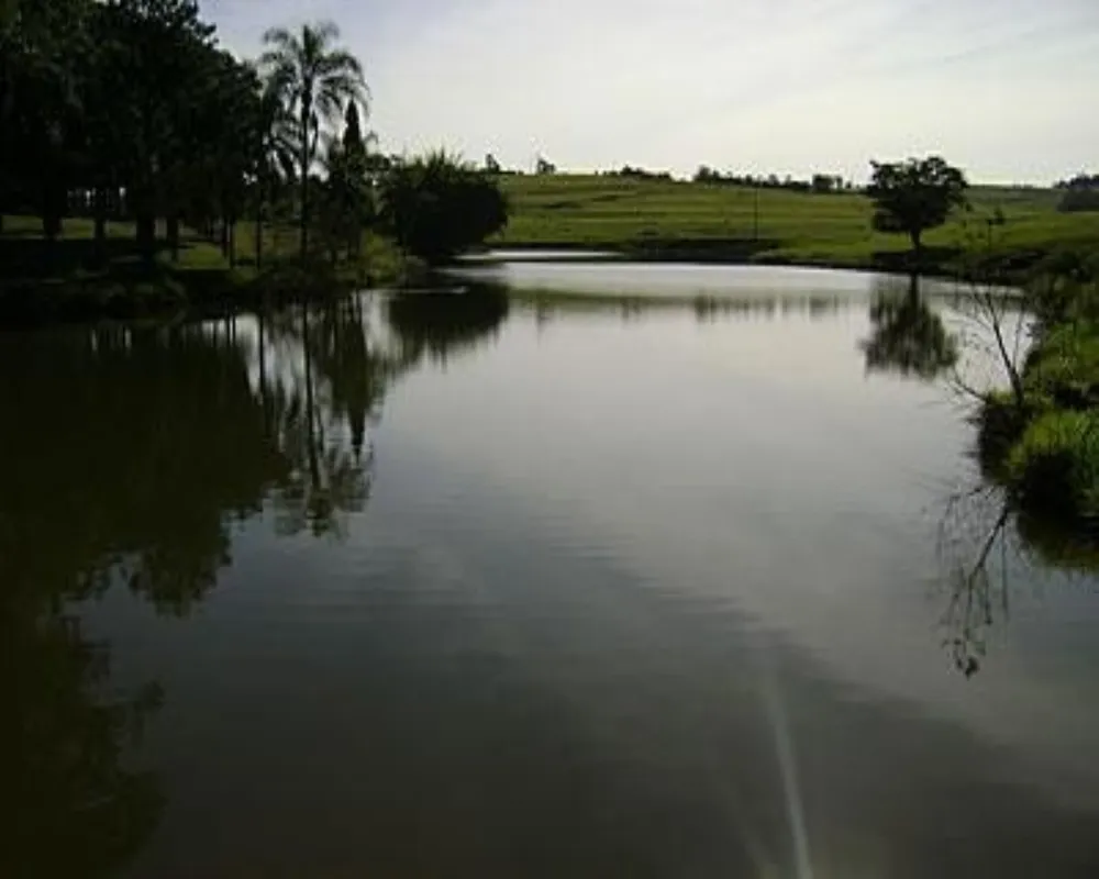 Fazenda - Foto 4