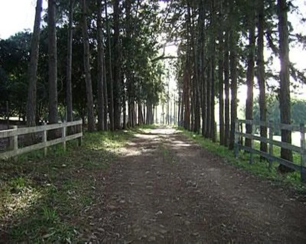 Fazenda - Foto 2
