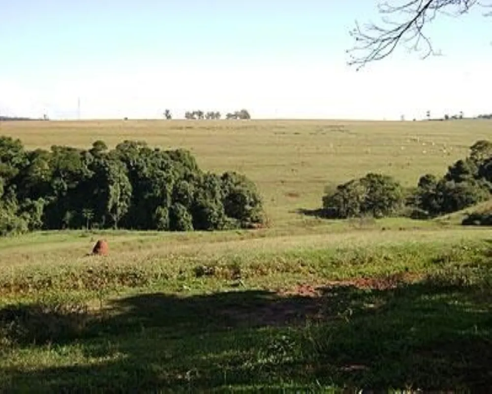 Fazenda - Foto 6