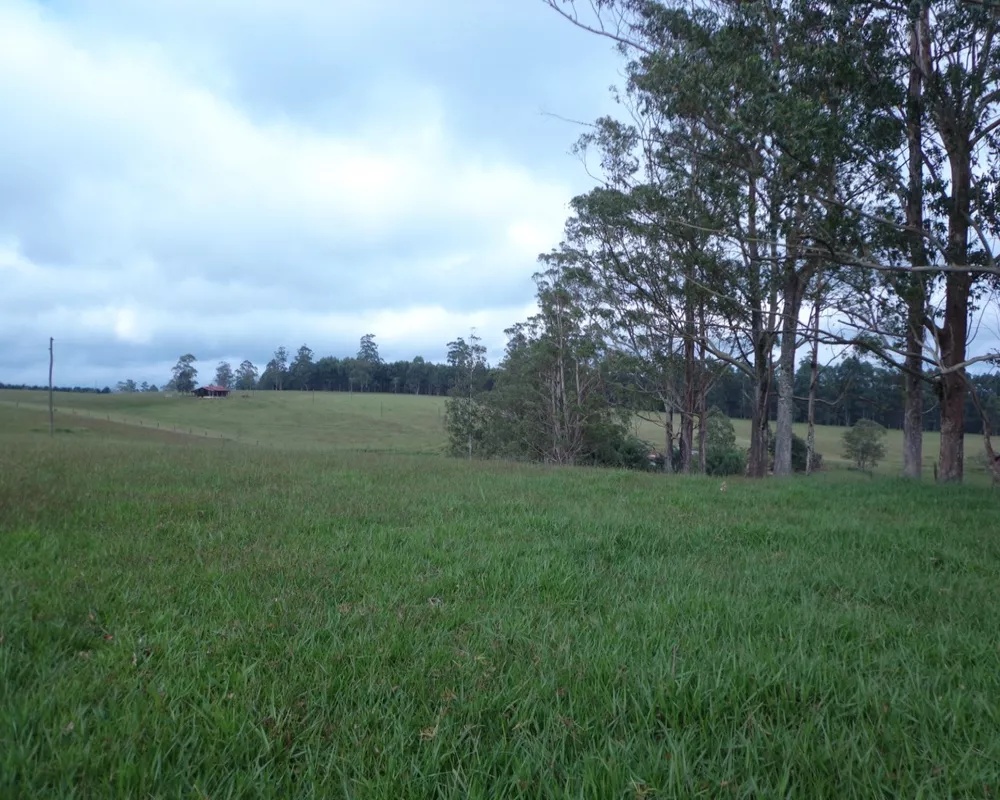Fazenda - Foto 17
