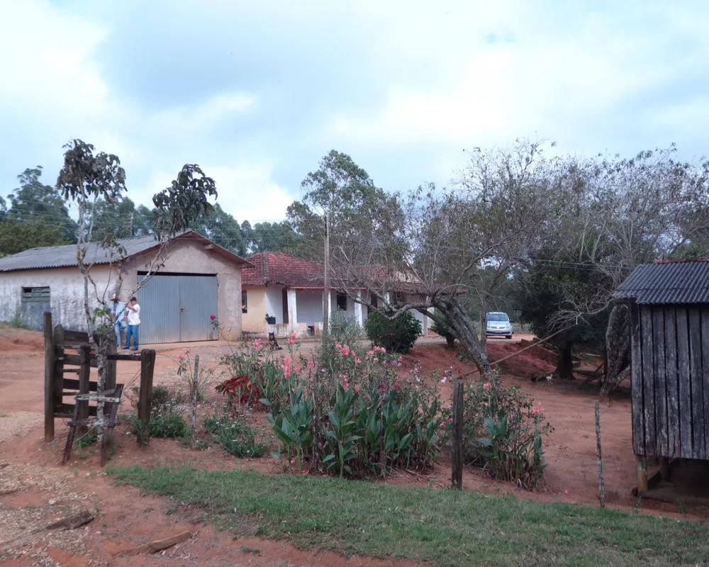 Fazenda - Foto 8