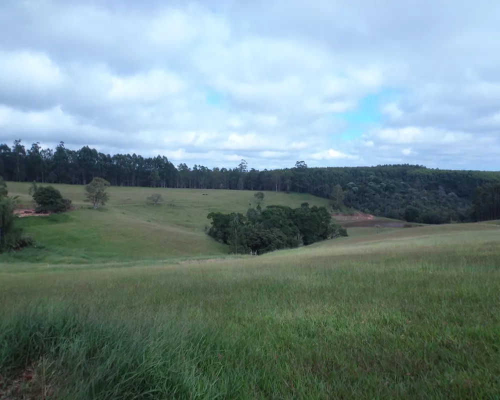 Fazenda - Foto 27