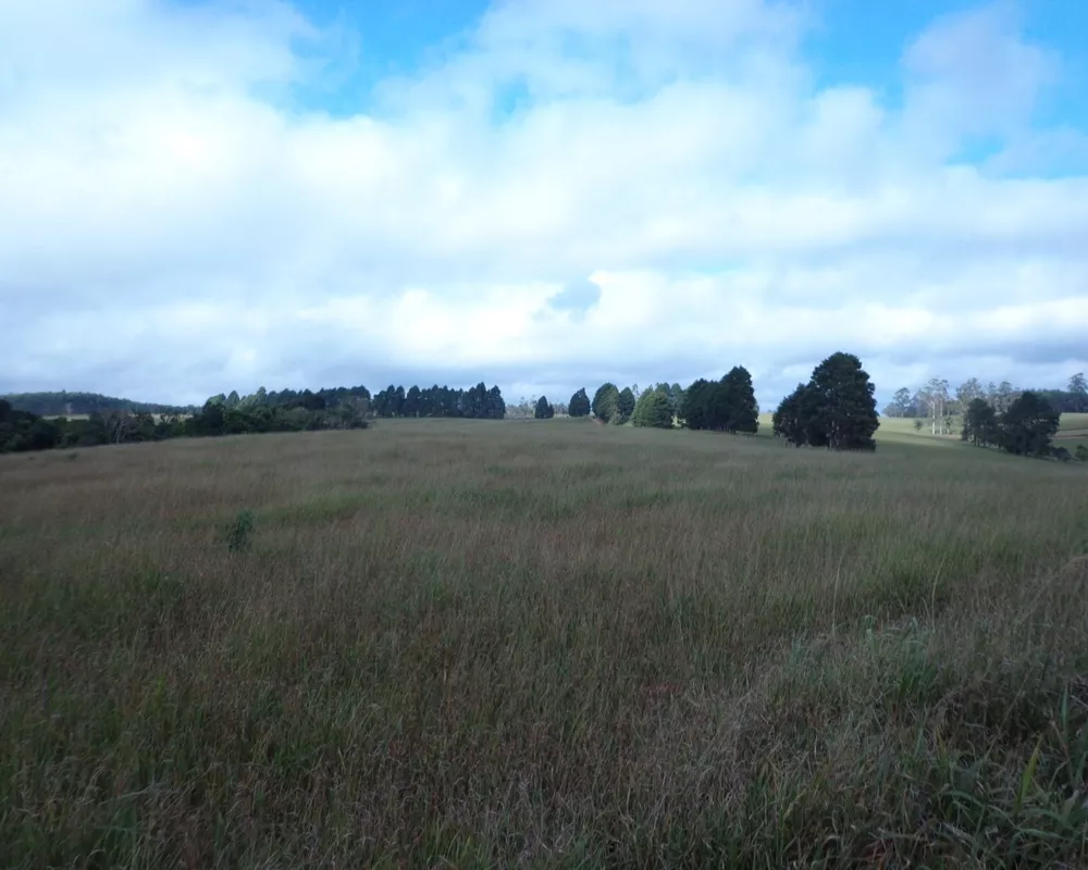 Fazenda - Foto 18