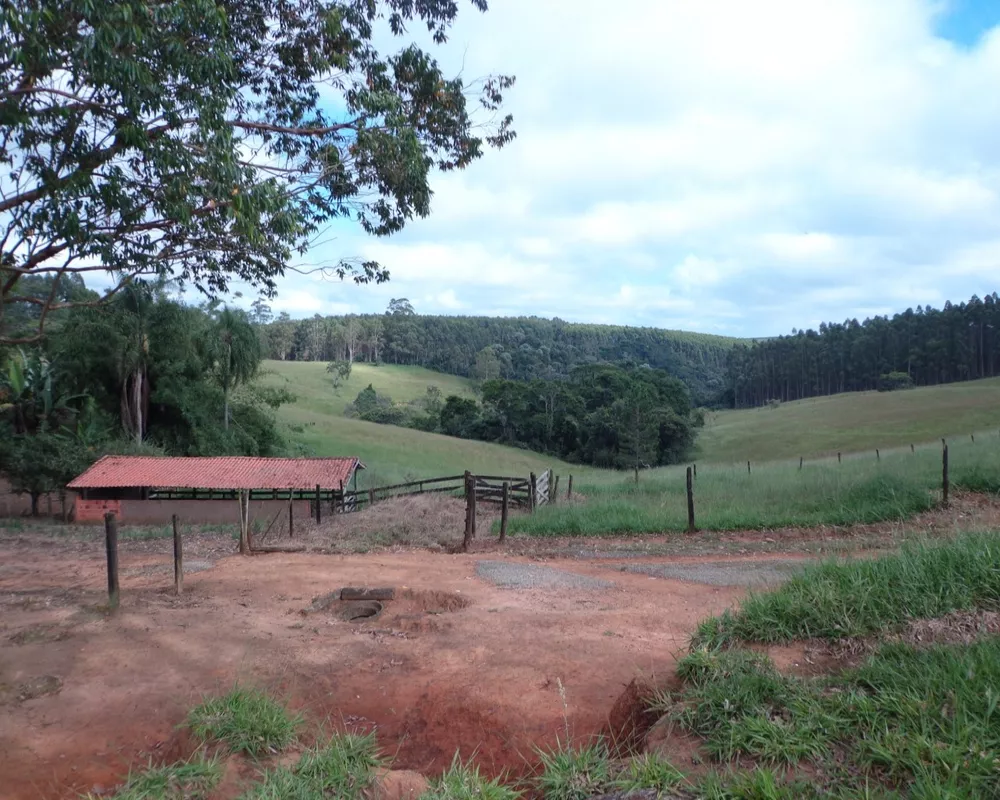 Fazenda - Foto 11