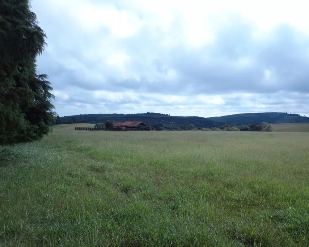 Fazenda - Foto 23