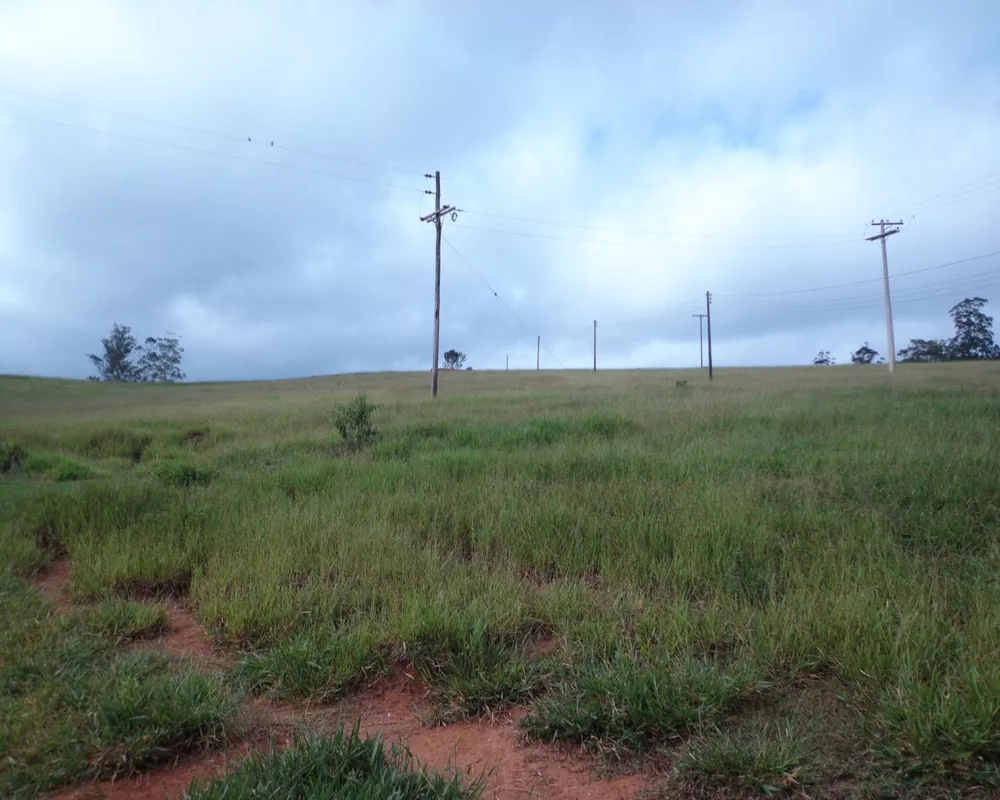 Fazenda - Foto 4