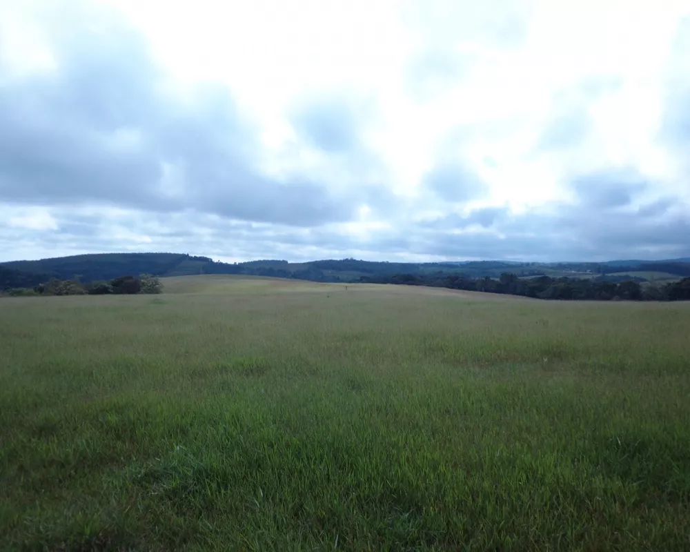 Fazenda - Foto 31