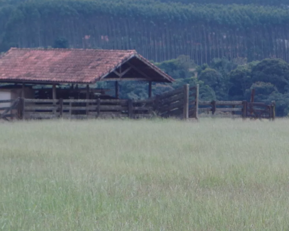 Fazenda - Foto 2