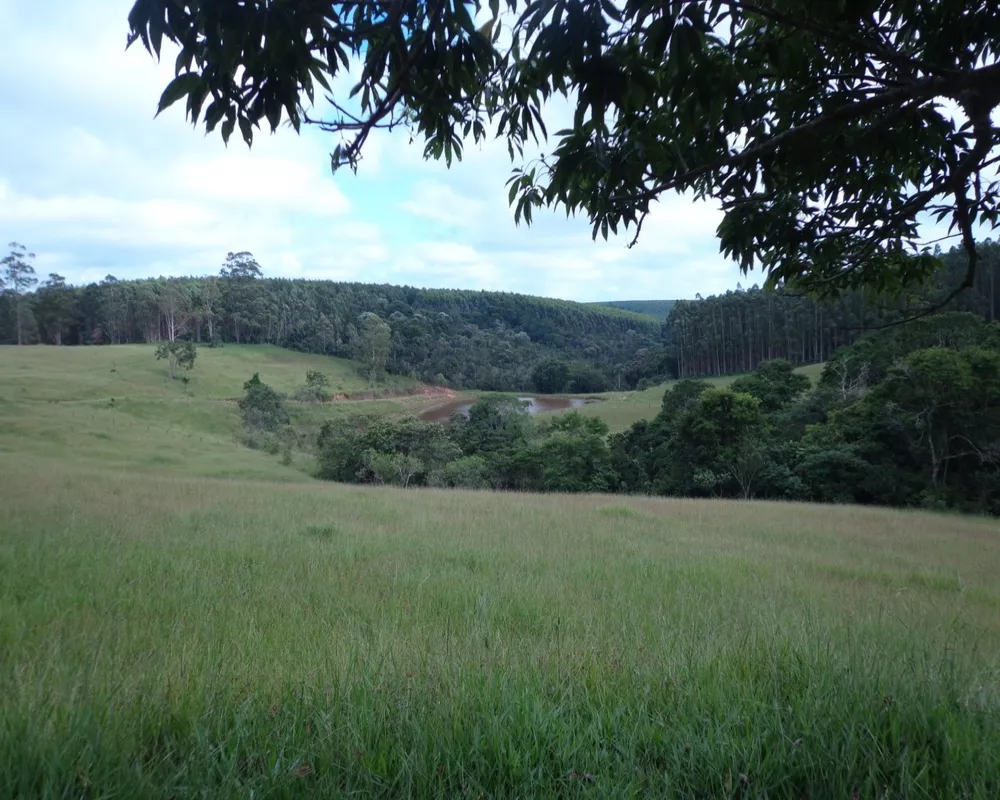 Fazenda - Foto 29