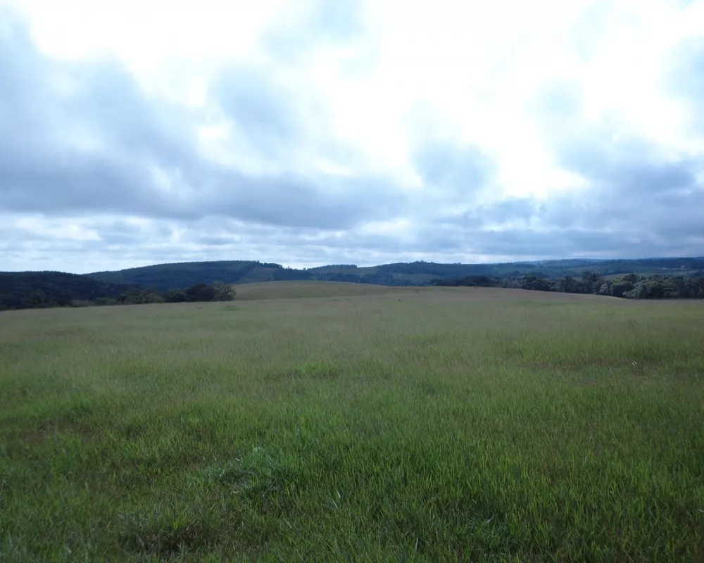 Fazenda - Foto 19