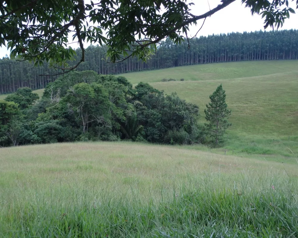 Fazenda - Foto 1
