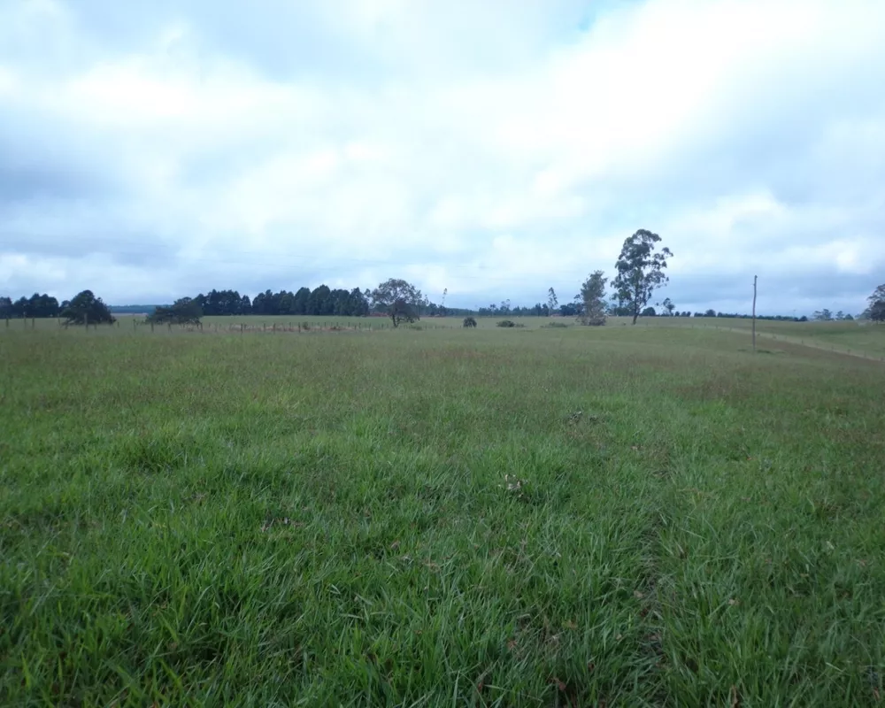 Fazenda - Foto 14