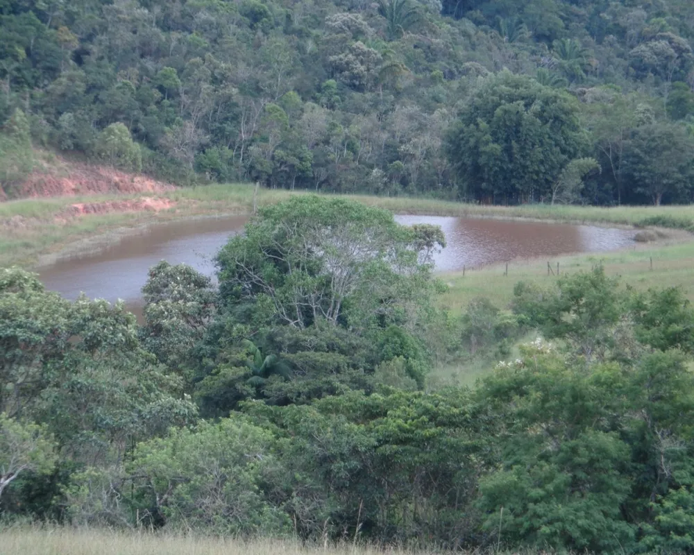 Fazenda - Foto 26