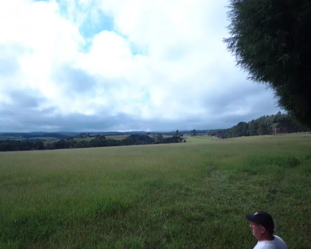 Fazenda - Foto 5