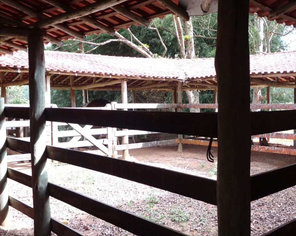 Fazenda - Foto 35