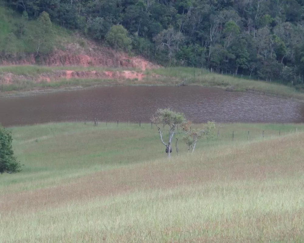 Fazenda - Foto 15