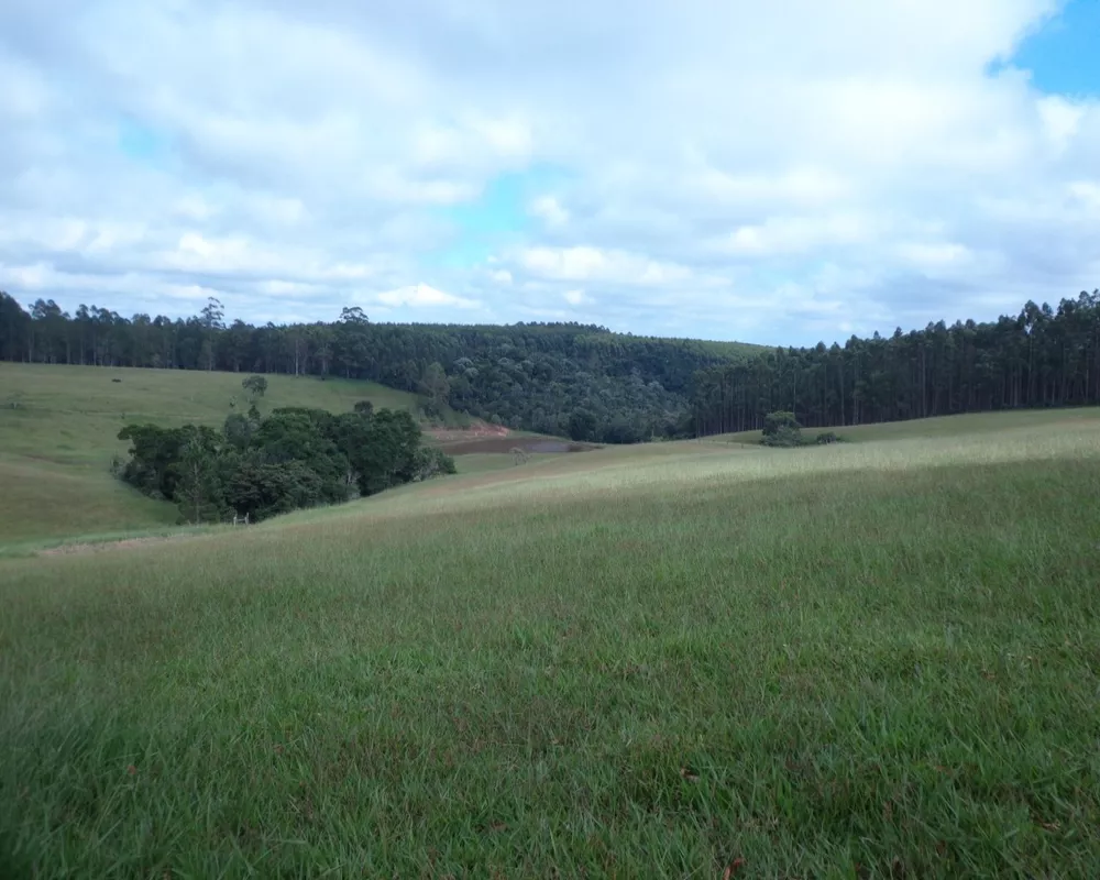 Fazenda - Foto 6