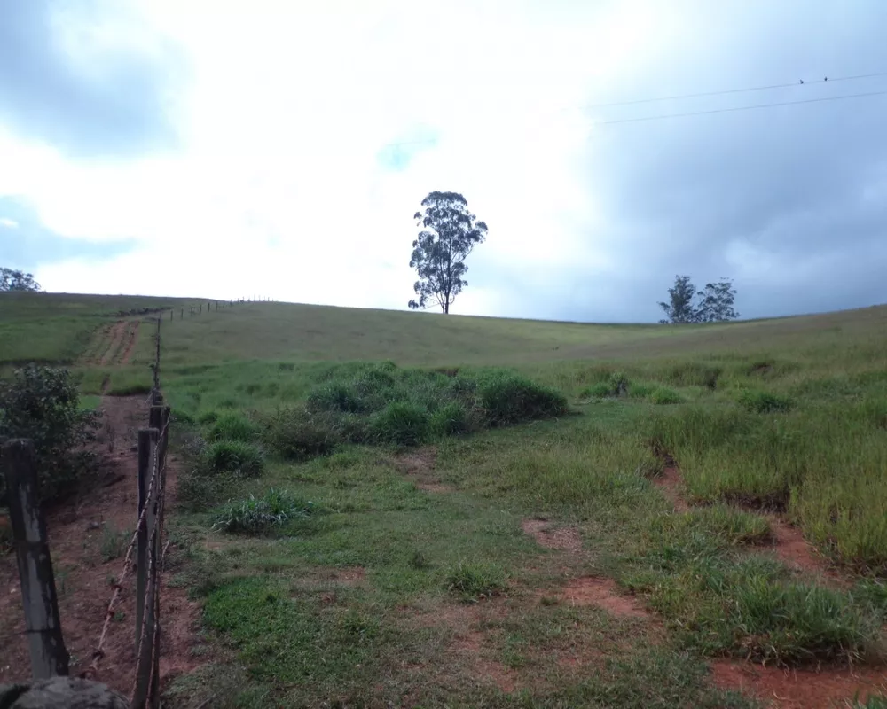 Fazenda - Foto 22