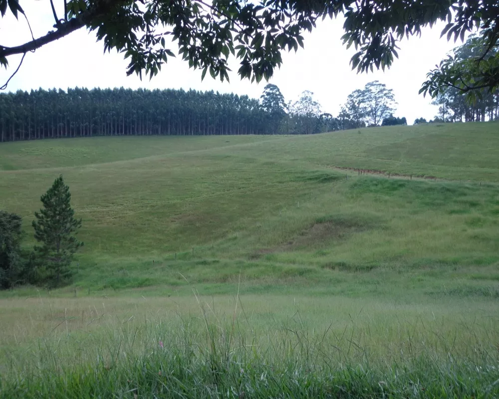 Fazenda - Foto 30