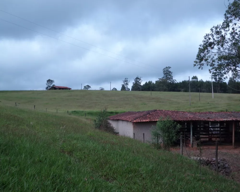 Fazenda - Foto 16