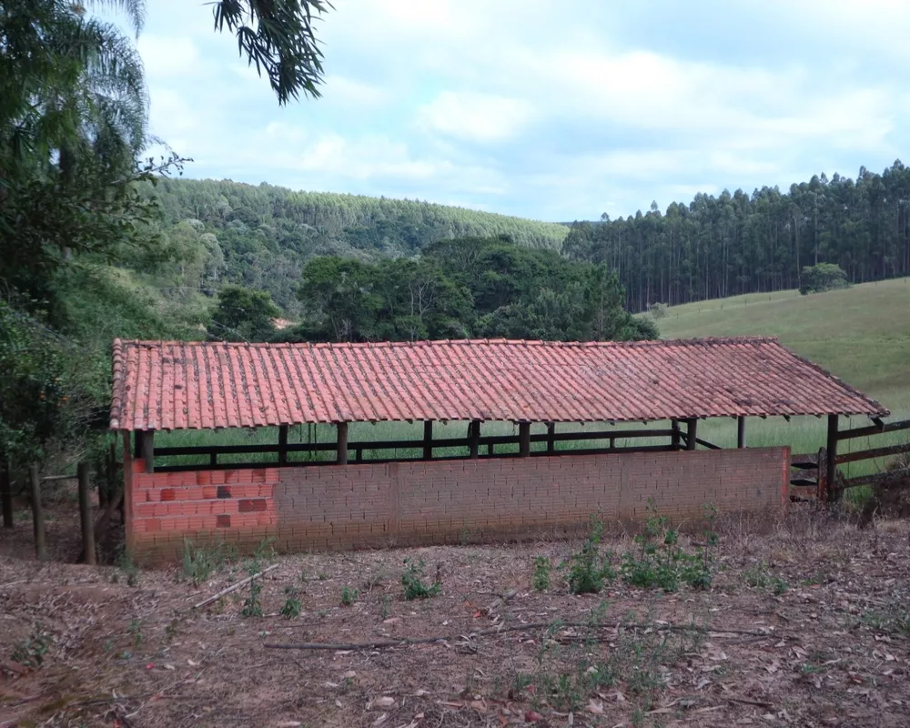 Fazenda - Foto 12