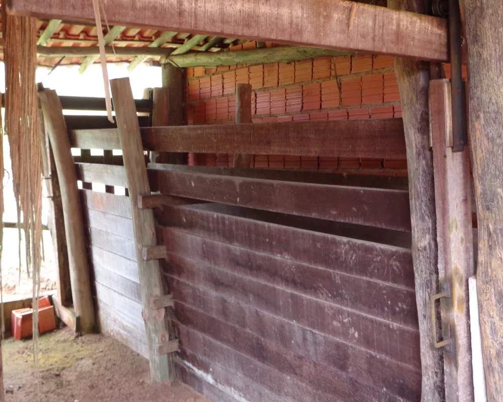 Fazenda - Foto 13