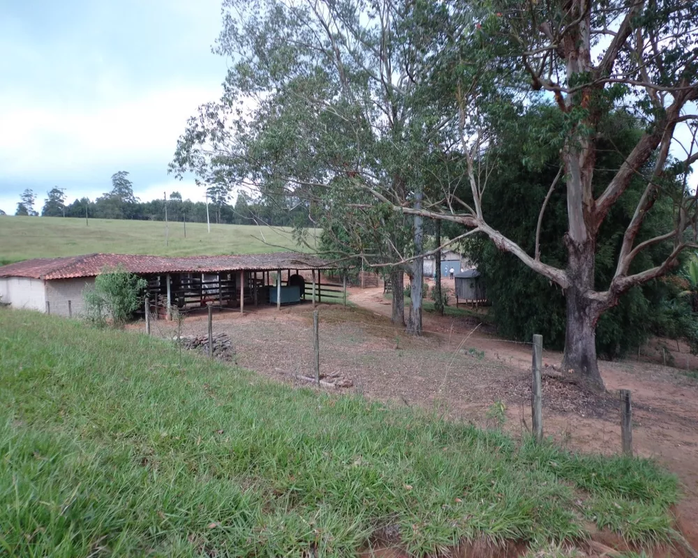 Fazenda - Foto 37
