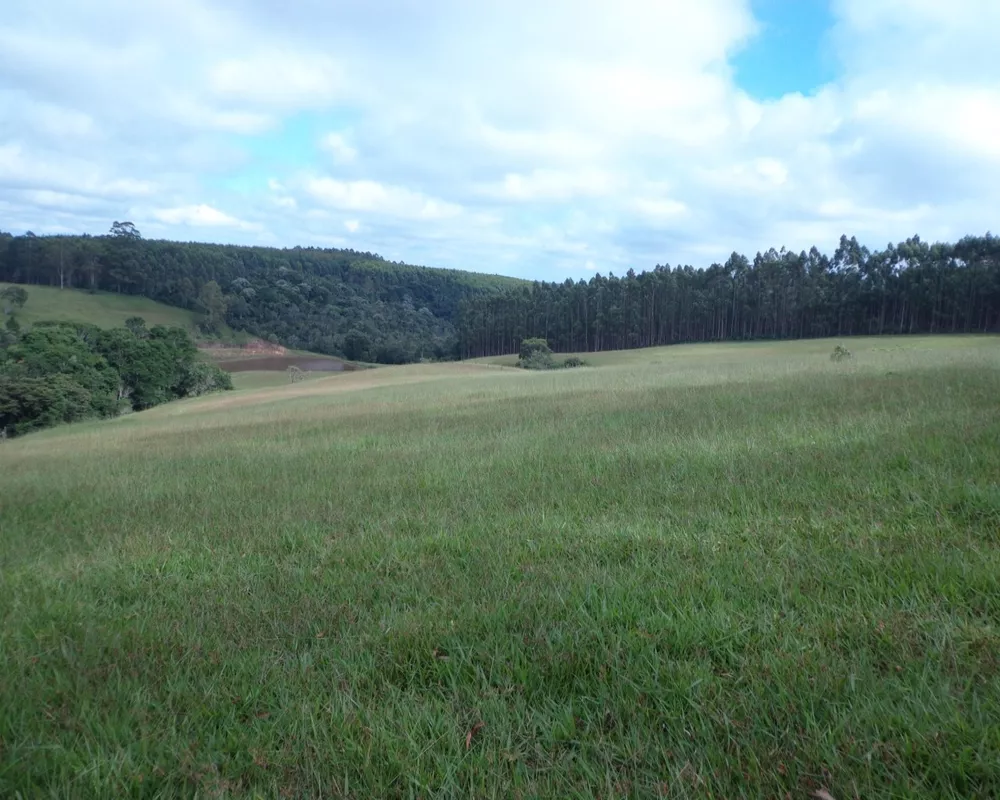 Fazenda - Foto 34