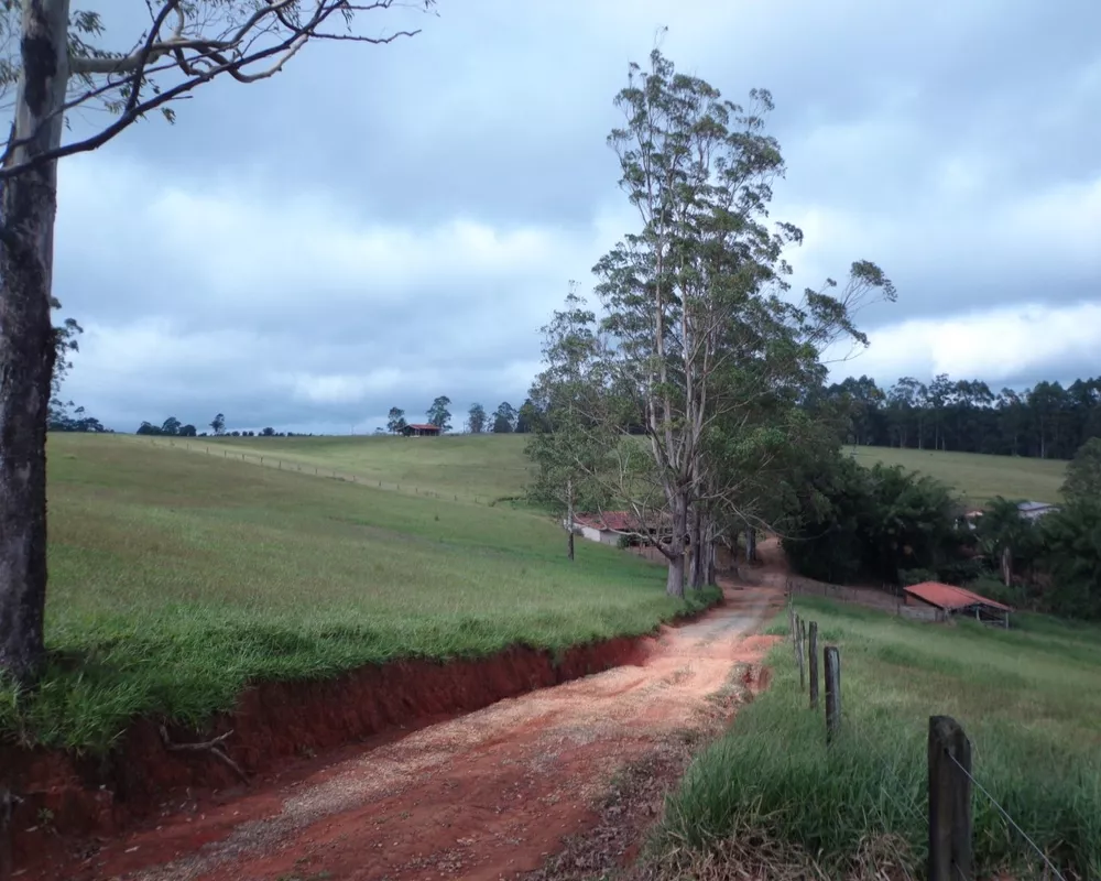Fazenda - Foto 33