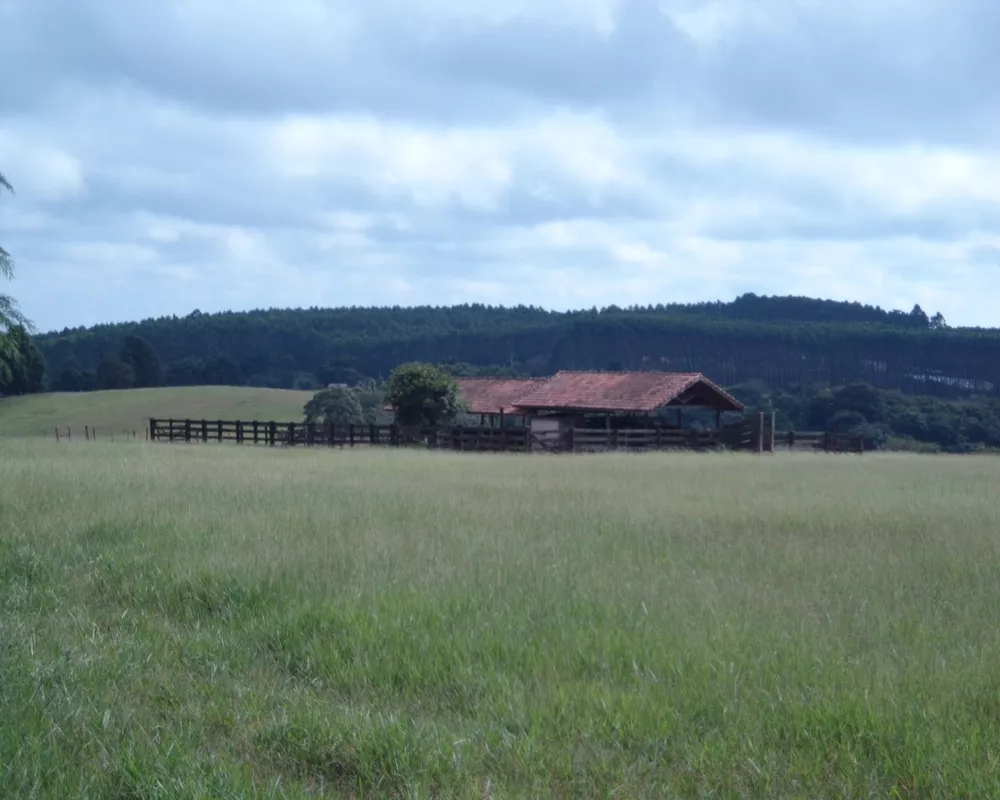 Fazenda - Foto 25