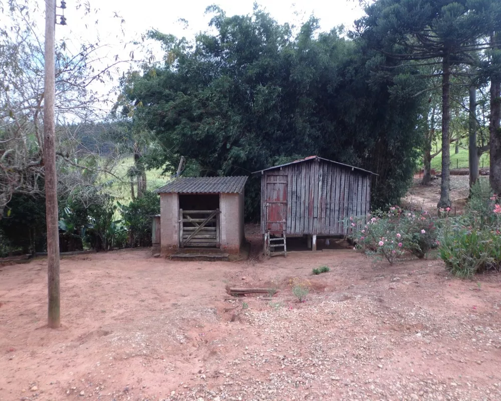 Fazenda - Foto 24